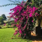 Σπίτι διακοπών Acogedora Casa En Asturias *