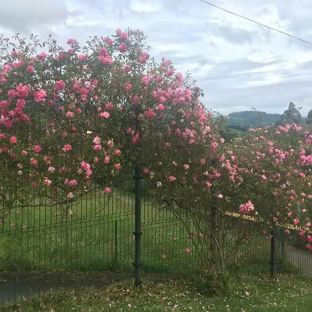 Nyaraló Acogedora Casa En Asturias *