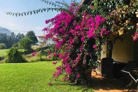 Casa de Férias Acogedora Casa En Asturias *