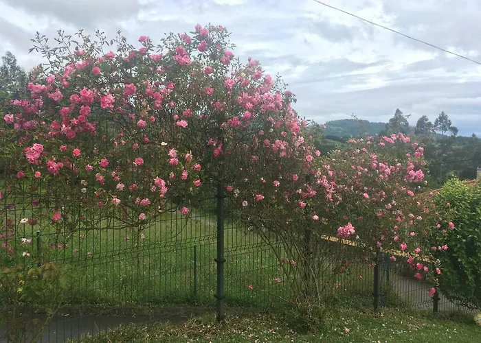 Сasa de vacaciones Acogedora Casa En Asturias *